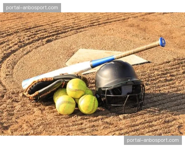 传奇致敬：WBSC为已故传奇投手蕾妮·霍尔特设立终身成就奖